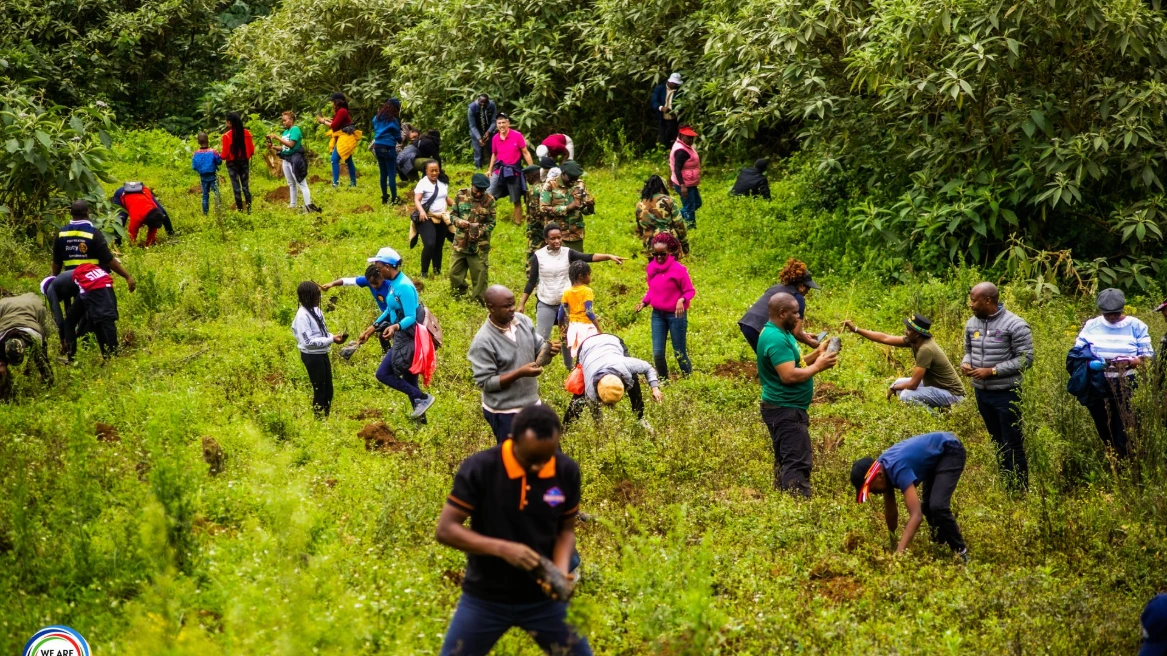 Rotaract Club of Nairobi Muthaiga North taking part in the Kereita 10000 trees challenge  2023